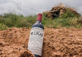 Vino Mi Lugar, de Bodegas Queirón