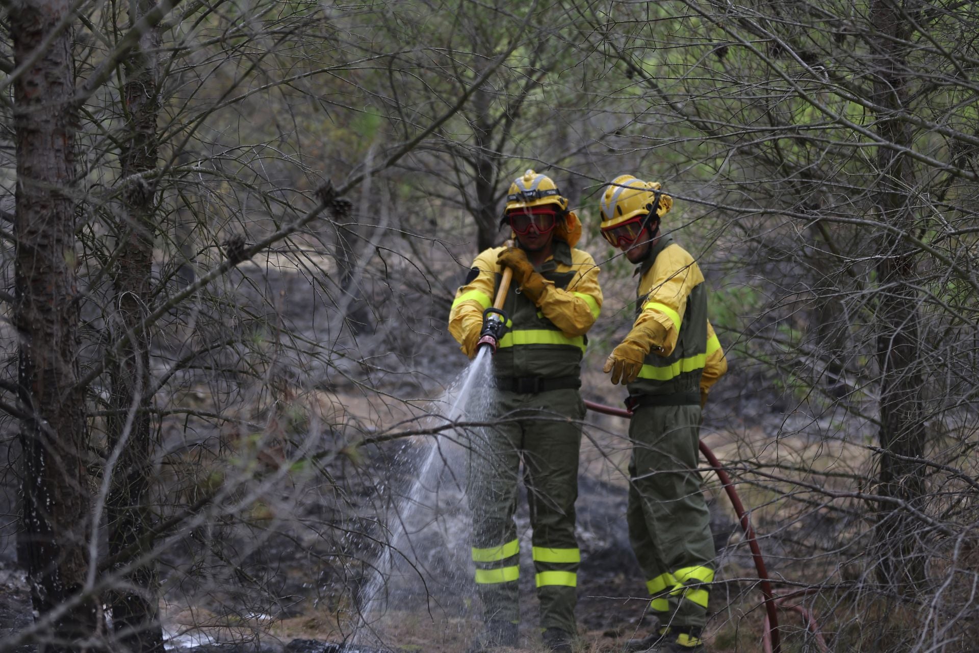 El día después del incendio en Fonzaleche y Gimileo