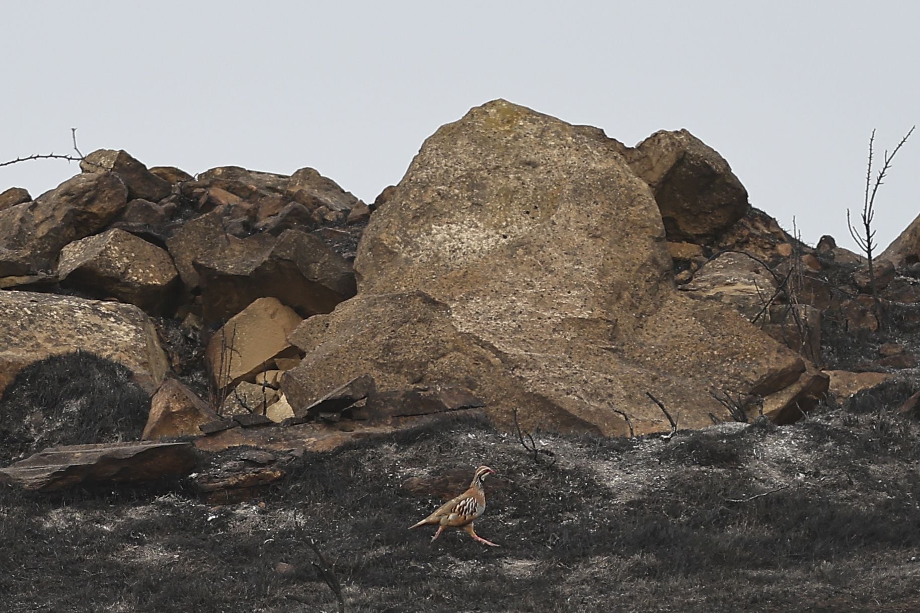 El día después del incendio en Fonzaleche y Gimileo