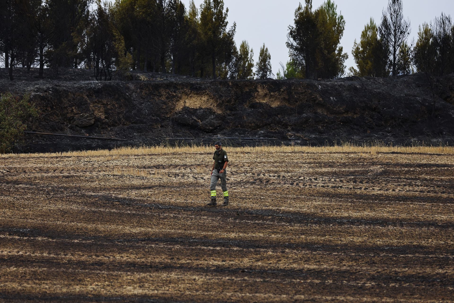 El día después del incendio en Fonzaleche y Gimileo