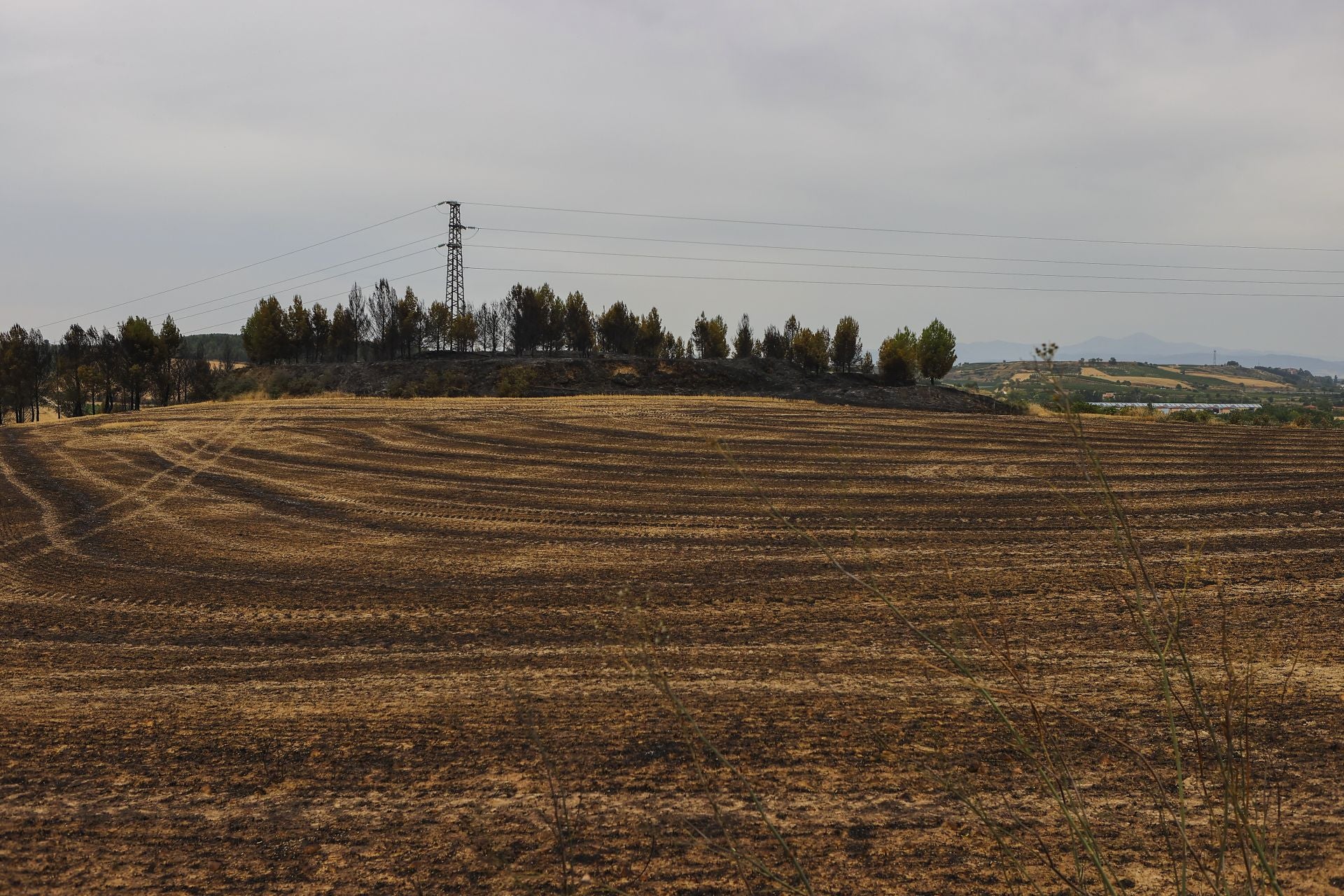 El día después del incendio en Fonzaleche y Gimileo