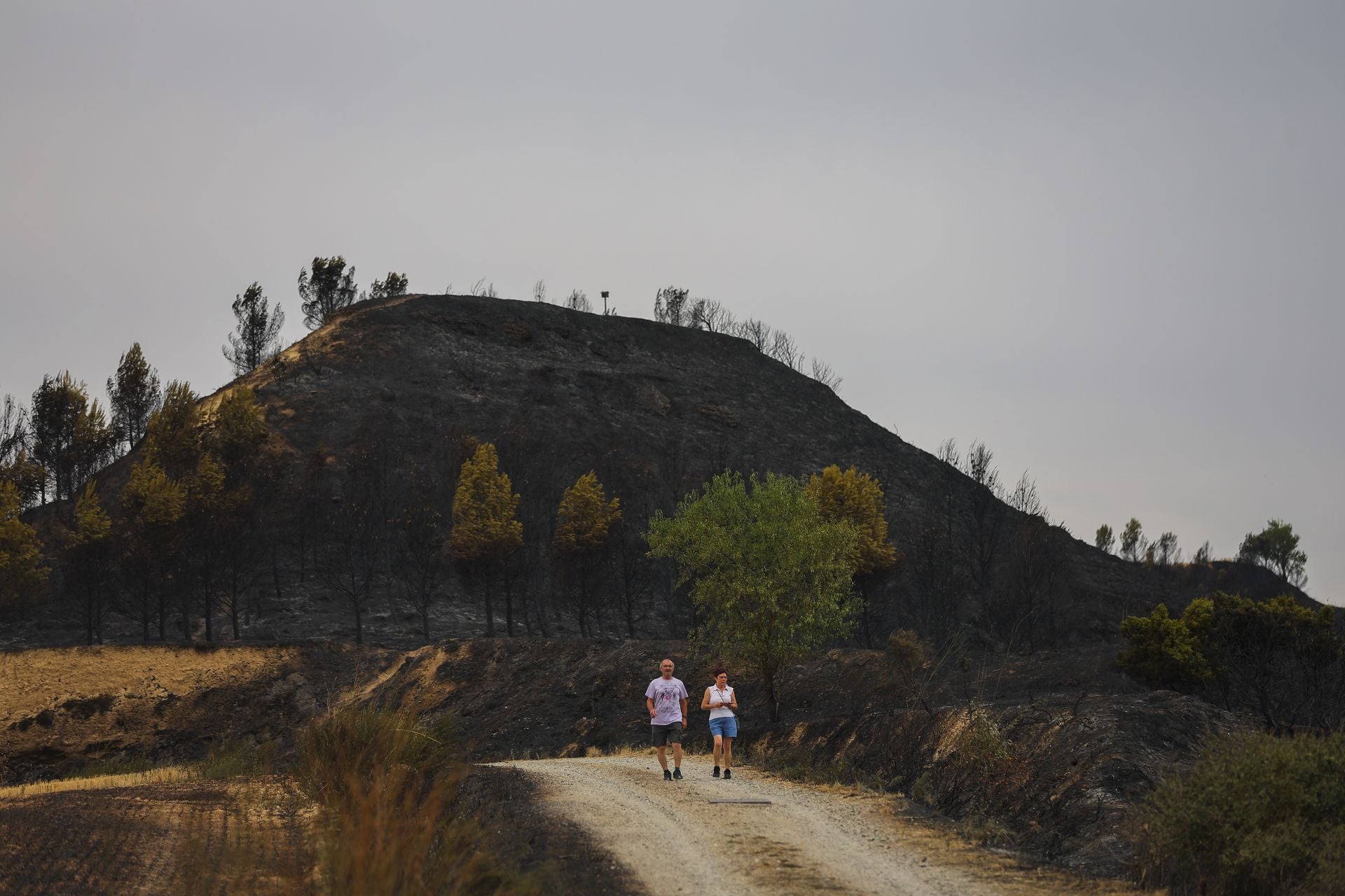 El día después del incendio en Fonzaleche y Gimileo