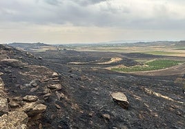 Superficie arrasada por las llamas en Fonzaleche.