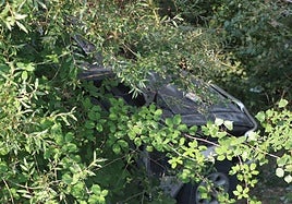 El vehículo ha quedado entre la vegetación tras salirse de la vía en la LR-289.