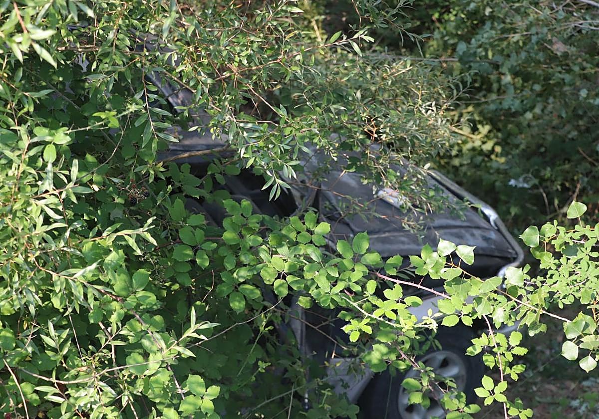 El vehículo ha quedado entre la vegetación tras salirse de la vía en la LR-289.