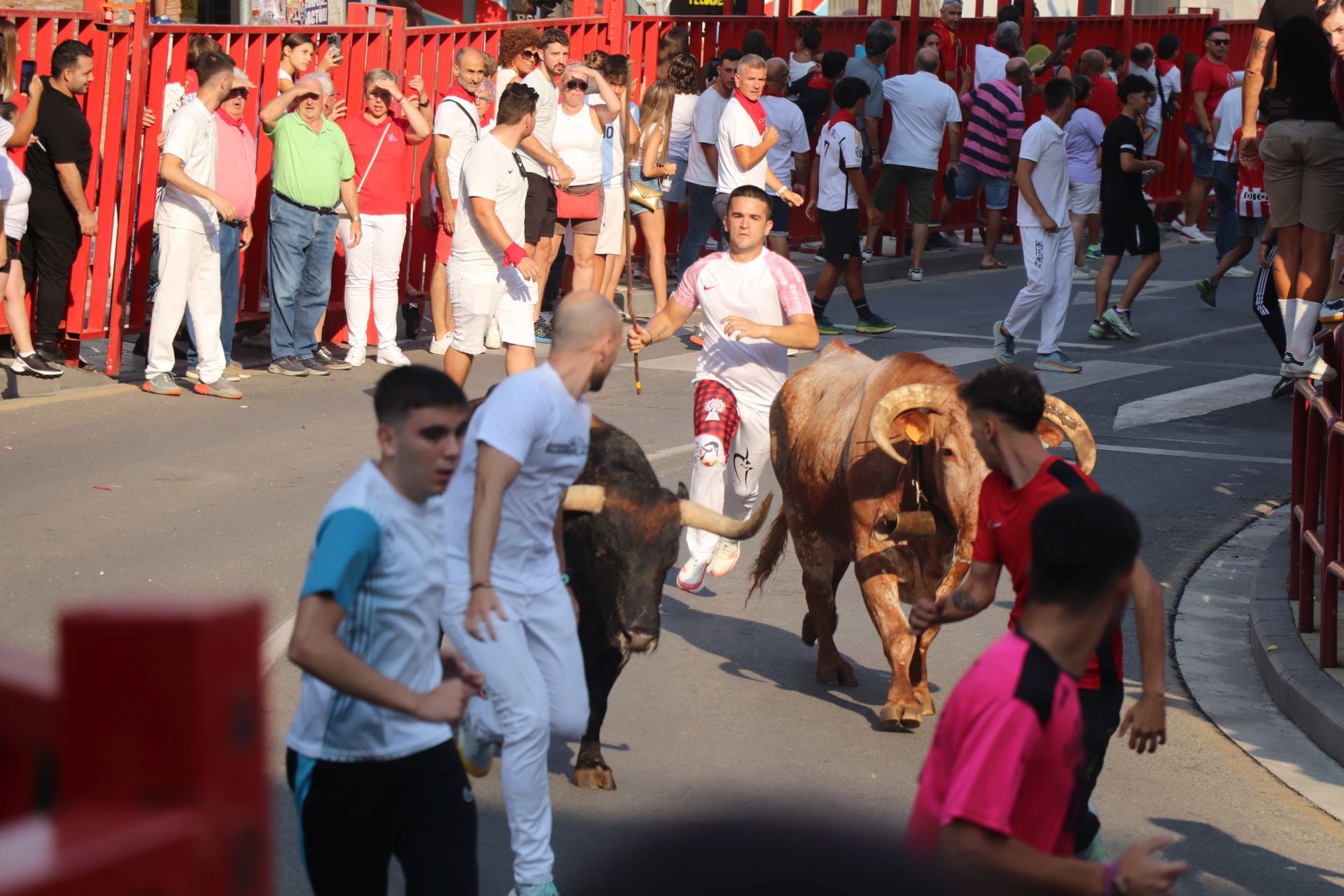 Viernes de fiestas con encierro, pañuelo para los más pequeños y tortillas de papata