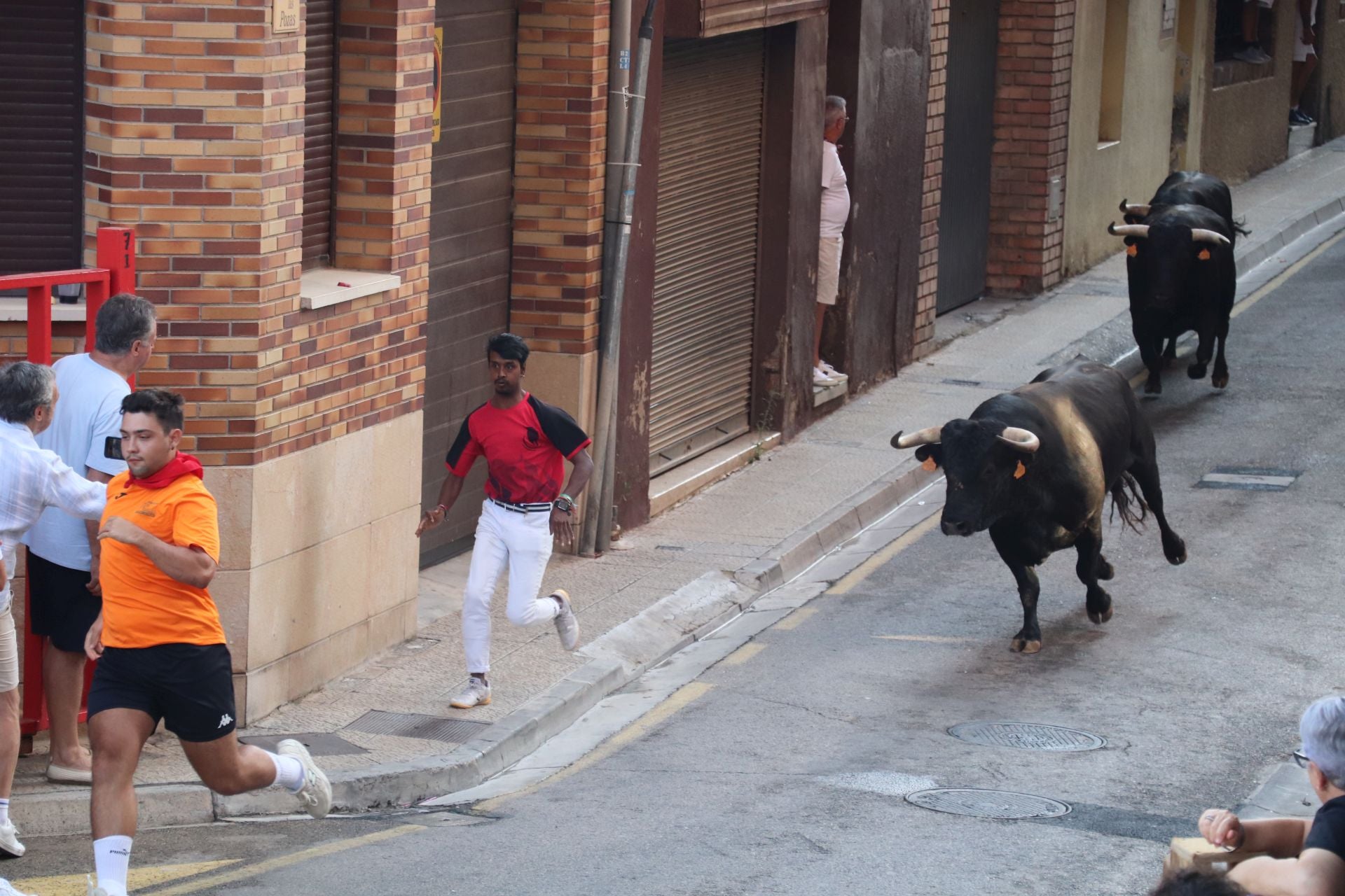 Viernes de fiestas con encierro, pañuelo para los más pequeños y tortillas de papata