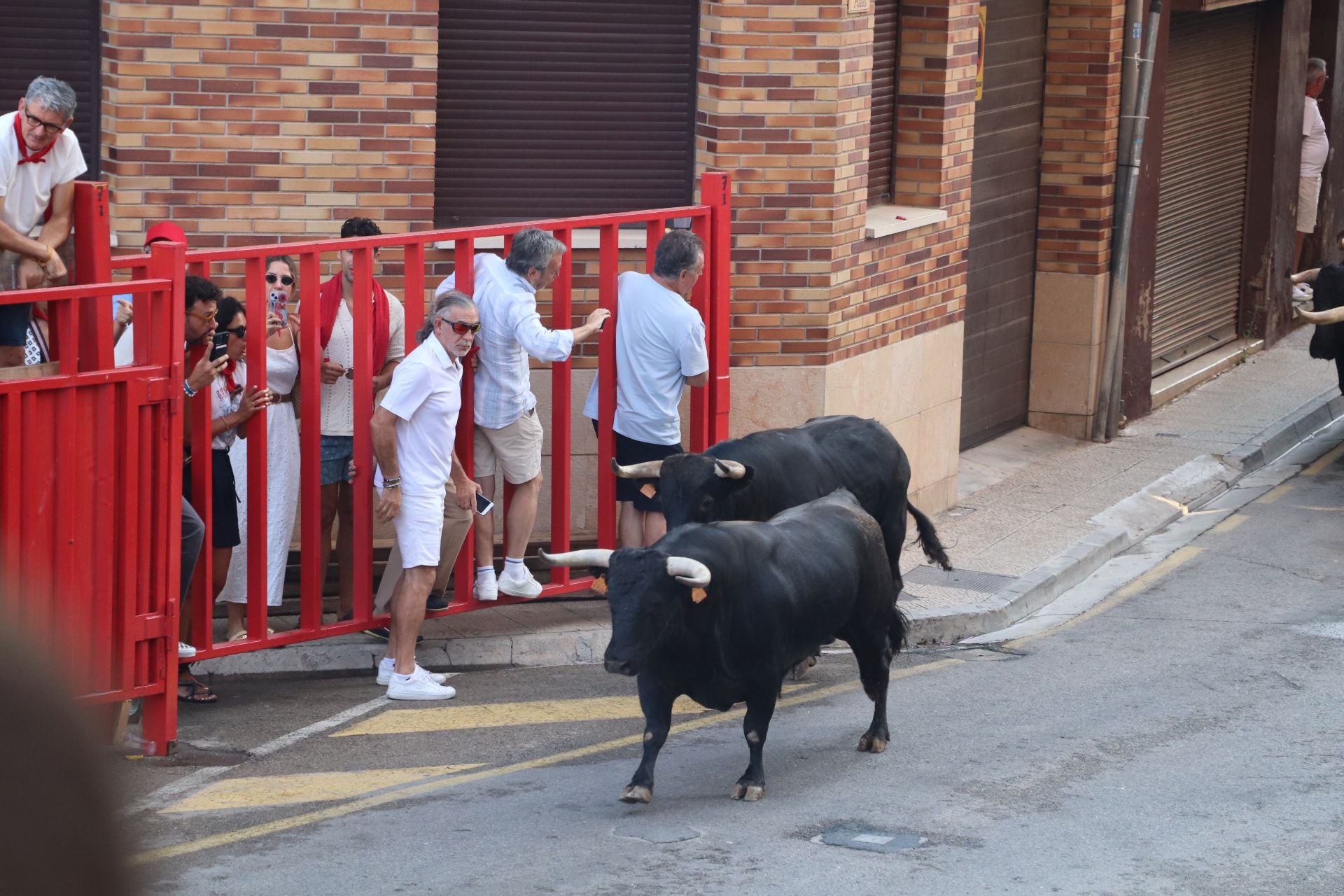 Viernes de fiestas con encierro, pañuelo para los más pequeños y tortillas de papata