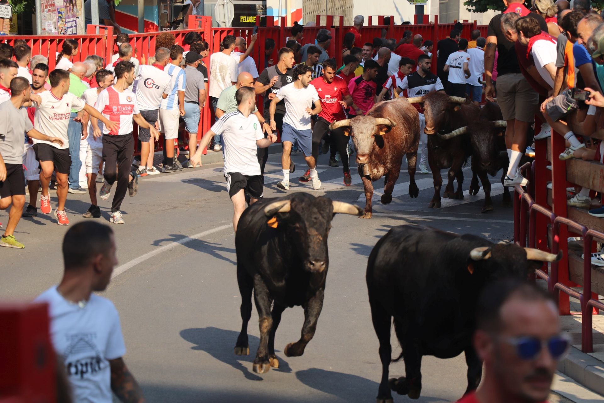 Viernes de fiestas con encierro, pañuelo para los más pequeños y tortillas de papata