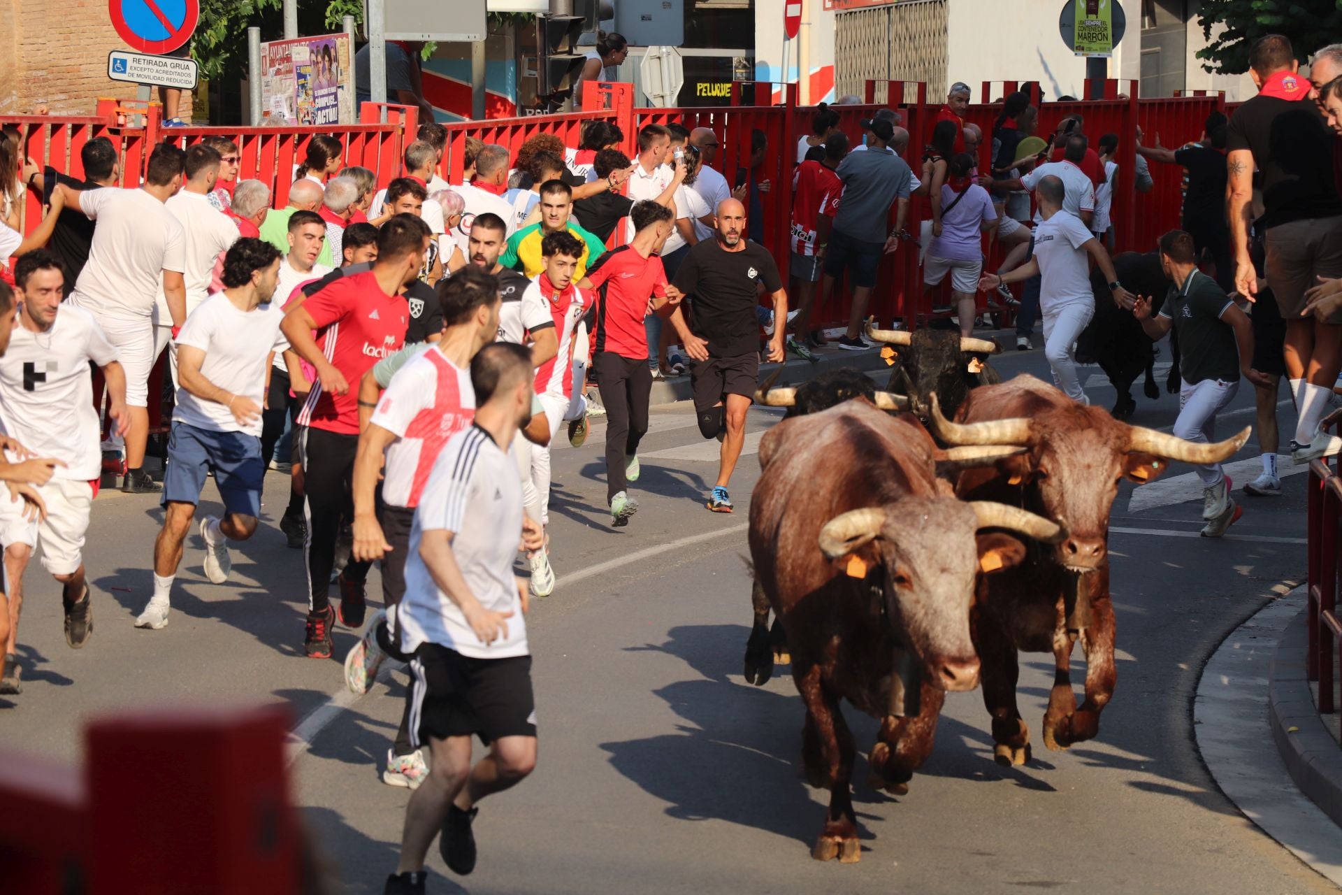 Viernes de fiestas con encierro, pañuelo para los más pequeños y tortillas de papata