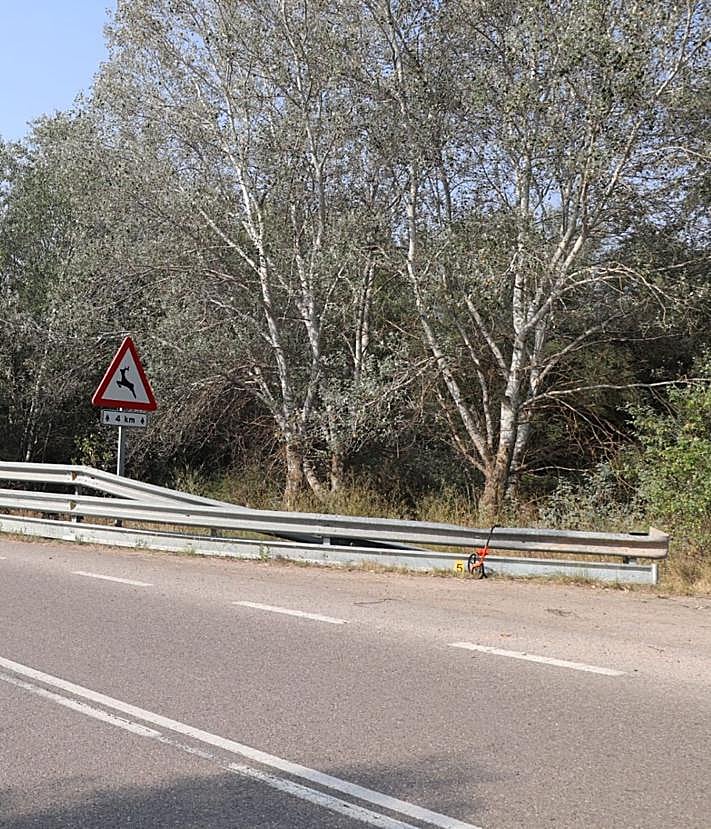 Imagen secundaria 2 - El coche siguió recto en la curva, se salió rompiendo las señales y cayó al barranco ya por detrás del vallado protector.