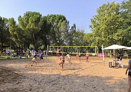 Las Norias acoge el Voley Viña