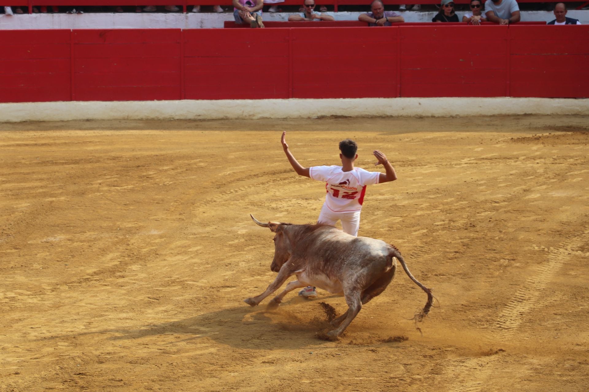 Día grande de las fiestas de Alfaro