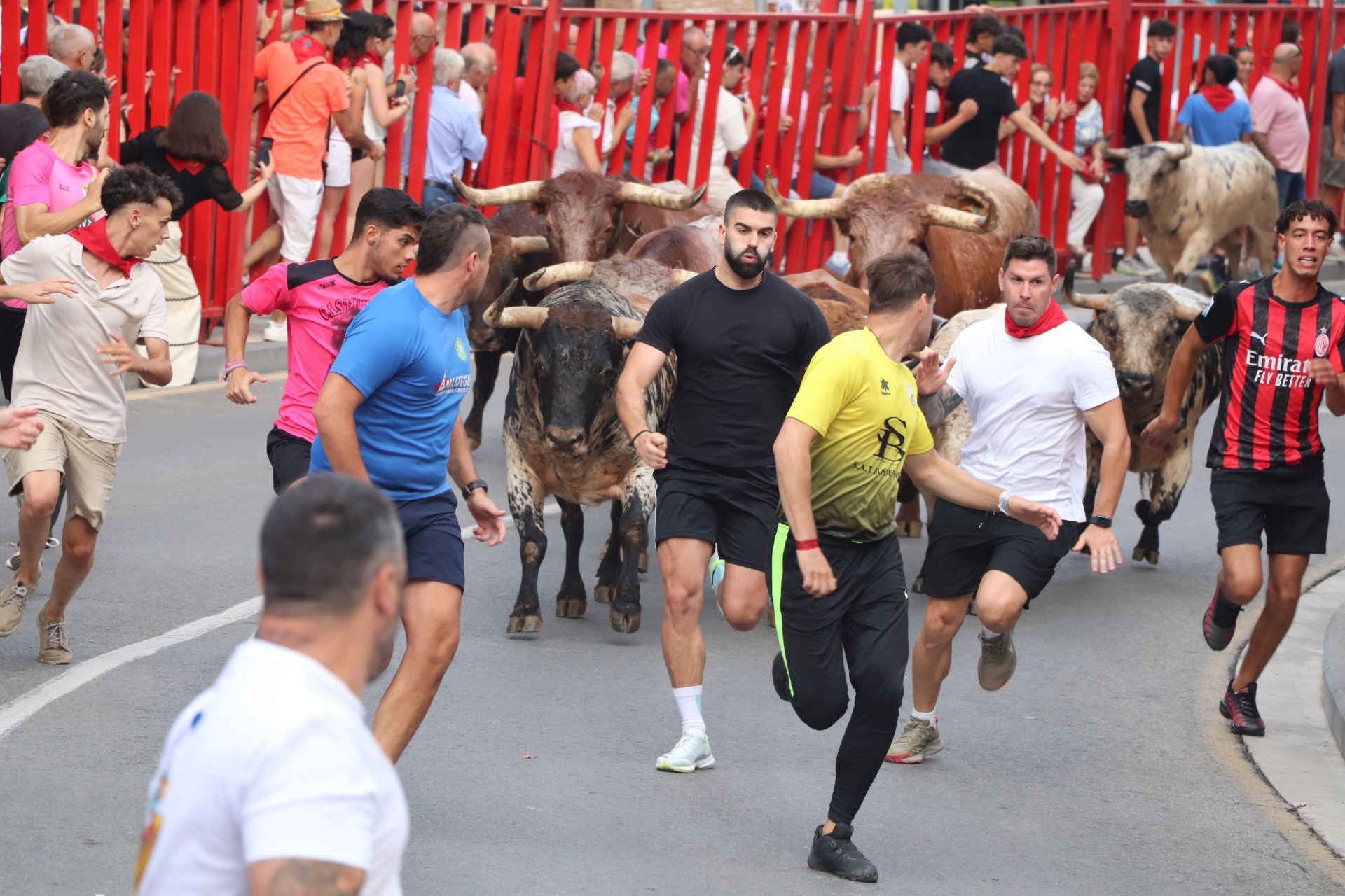 Día grande de las fiestas de Alfaro
