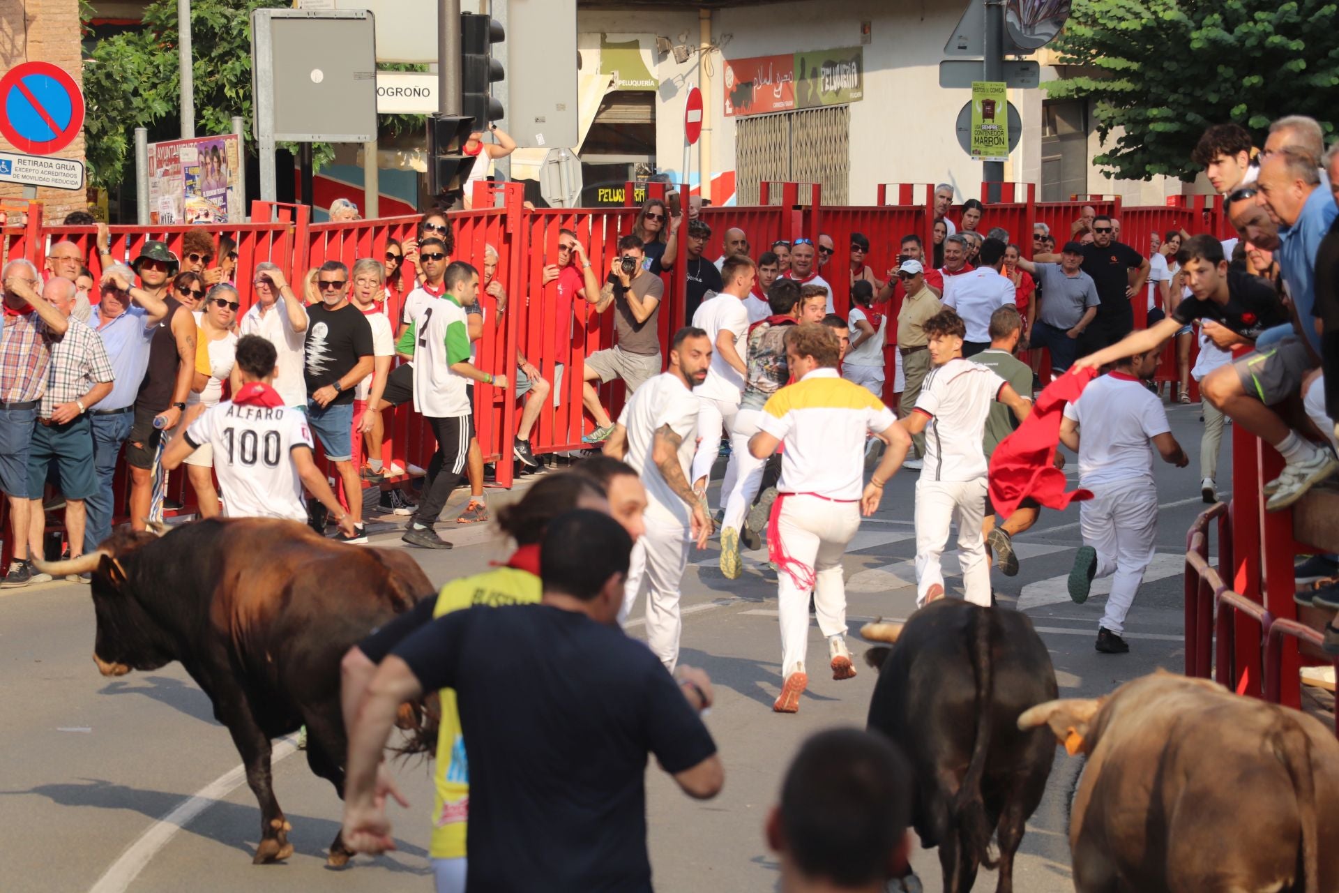 Alfaro honra a sus mayores en el domingo de fiestas