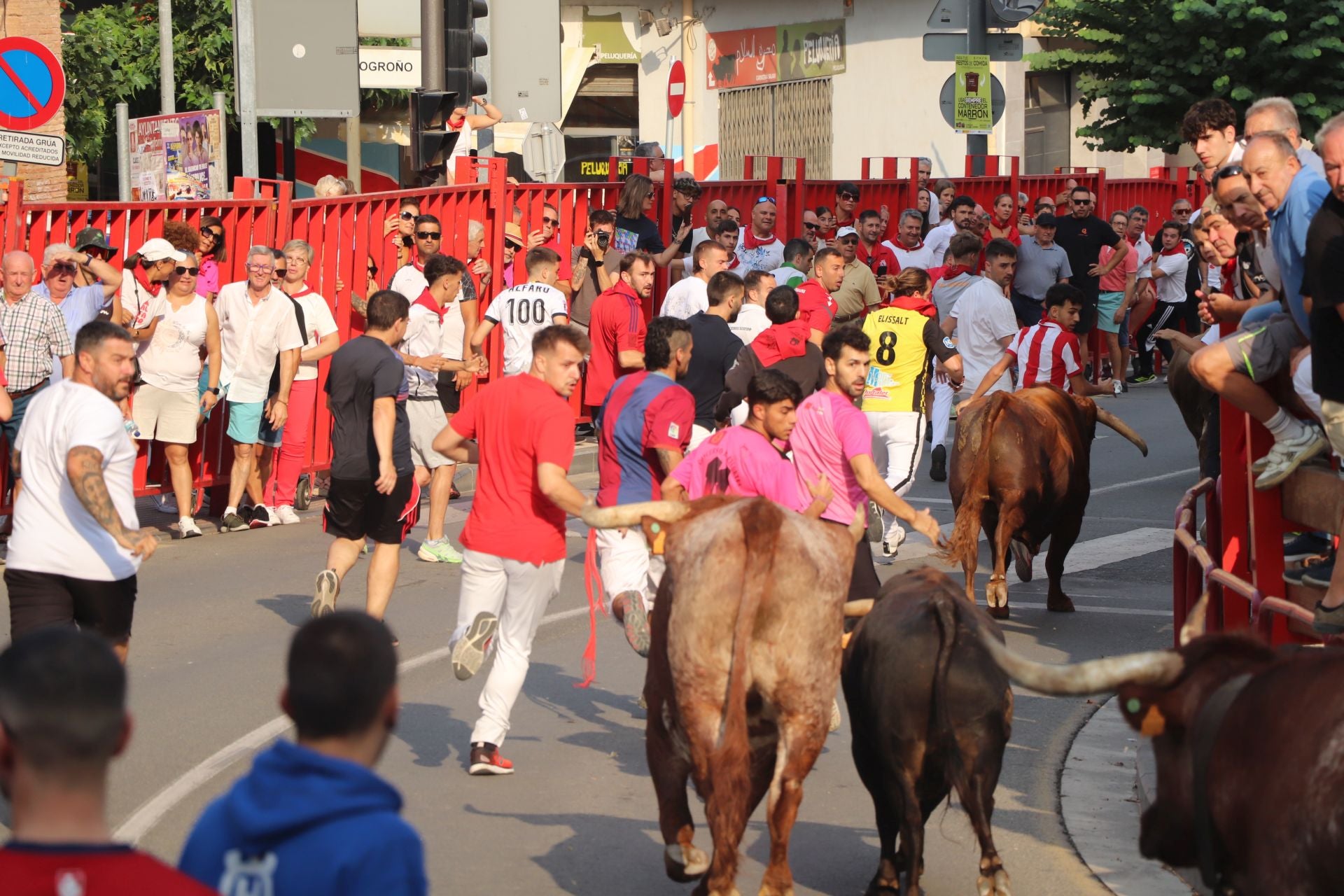 Alfaro honra a sus mayores en el domingo de fiestas