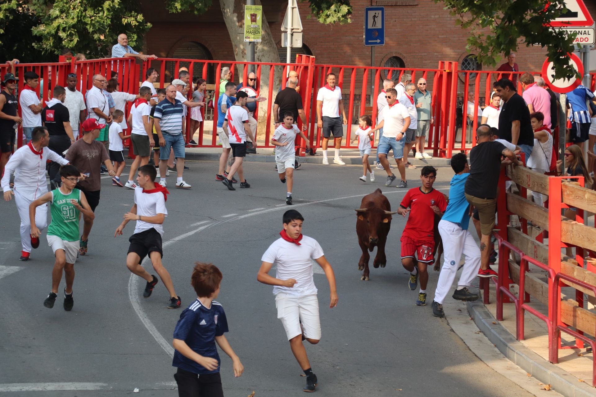Alfaro honra a sus mayores en el domingo de fiestas