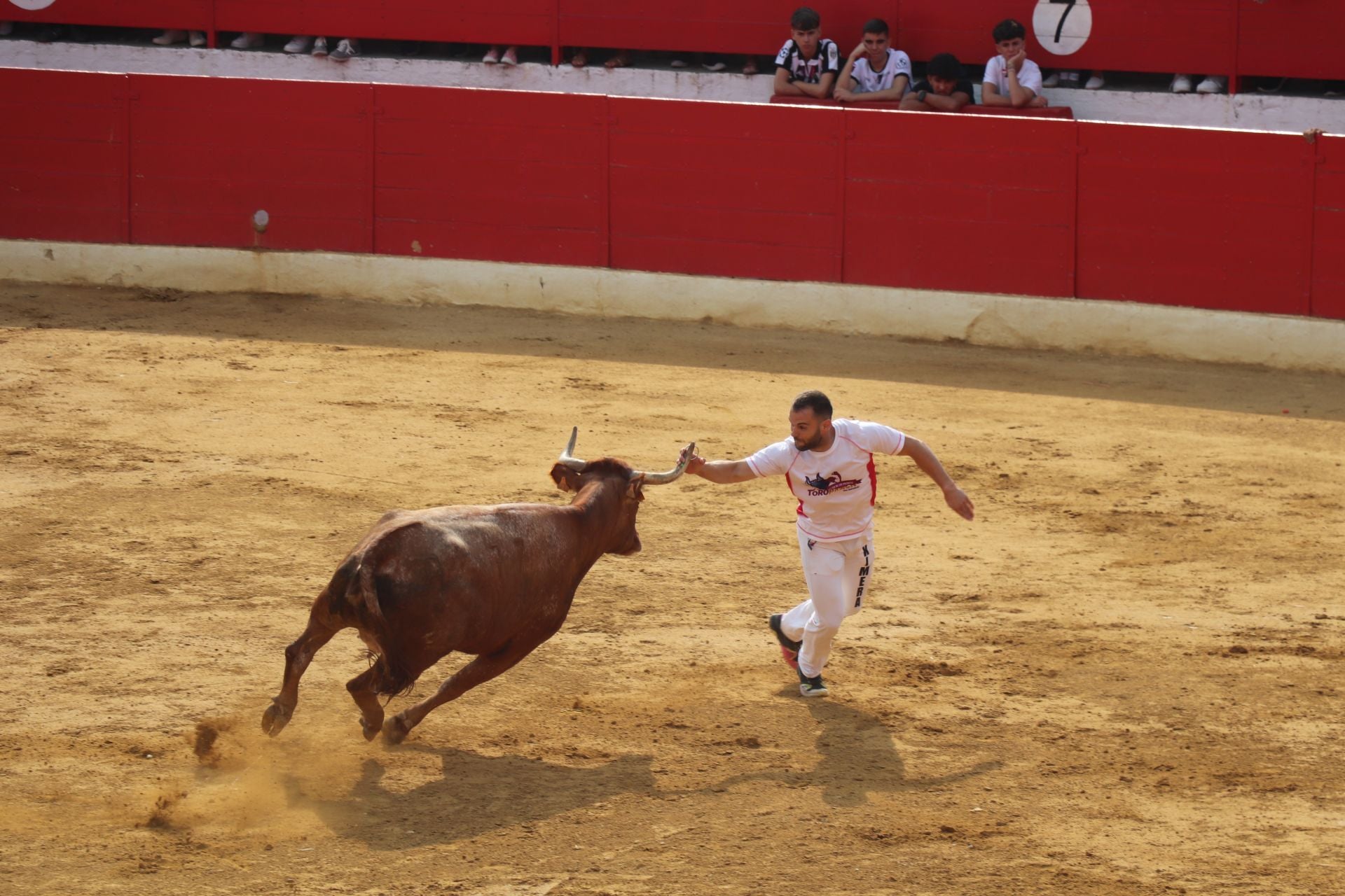 Alfaro honra a sus mayores en el domingo de fiestas