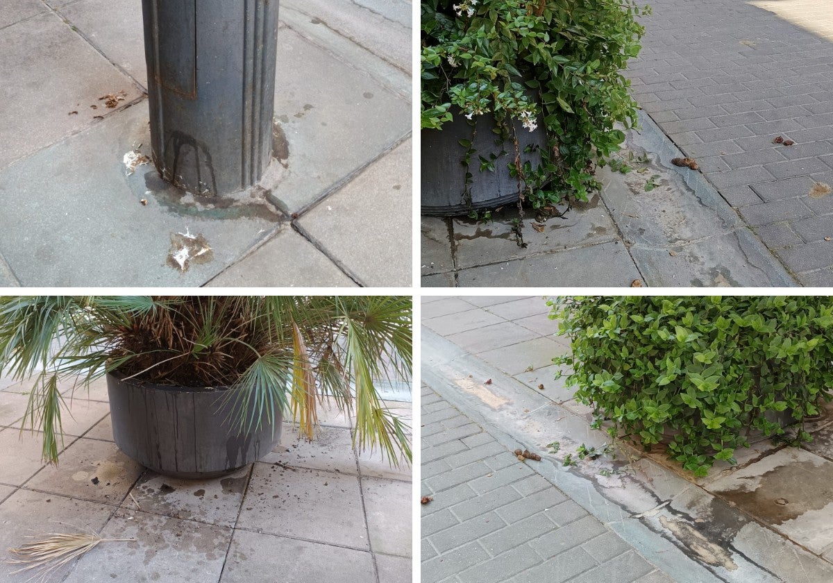 Las suciedad en la calle Pilar Salarrullana, hoy en La Guindilla.