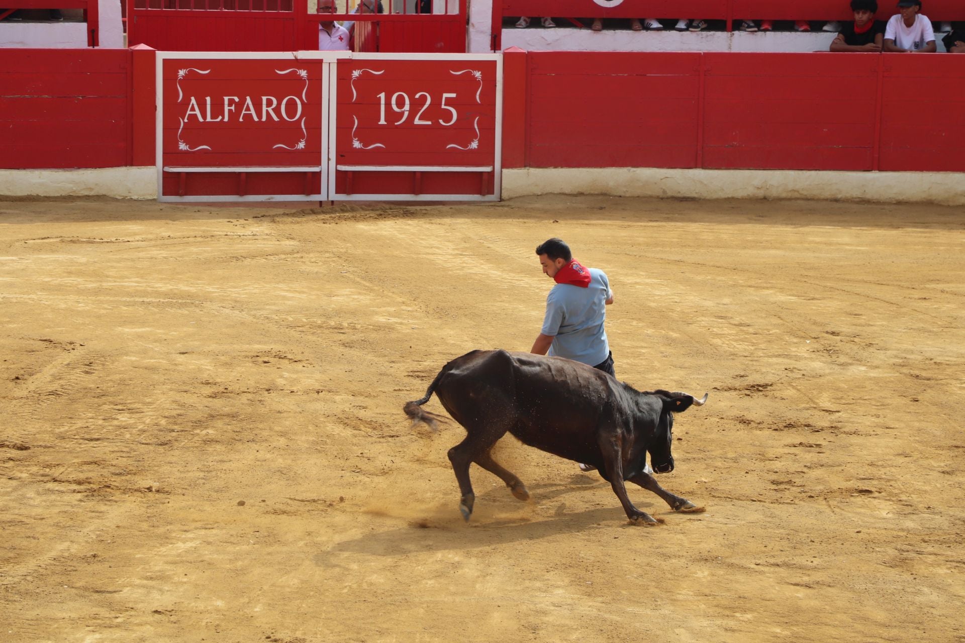 Un lunes de fiesta en Alfaro