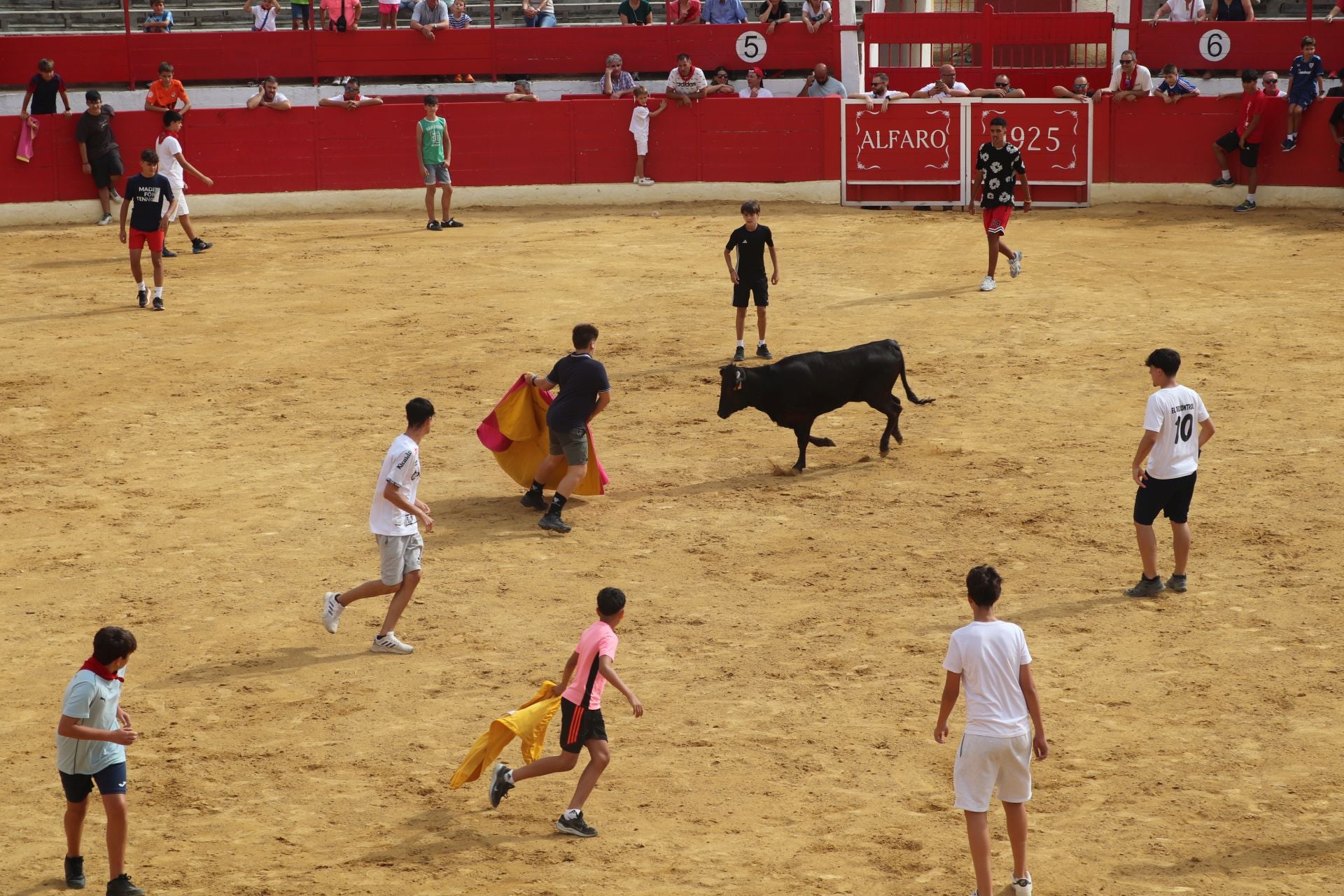Un lunes de fiesta en Alfaro