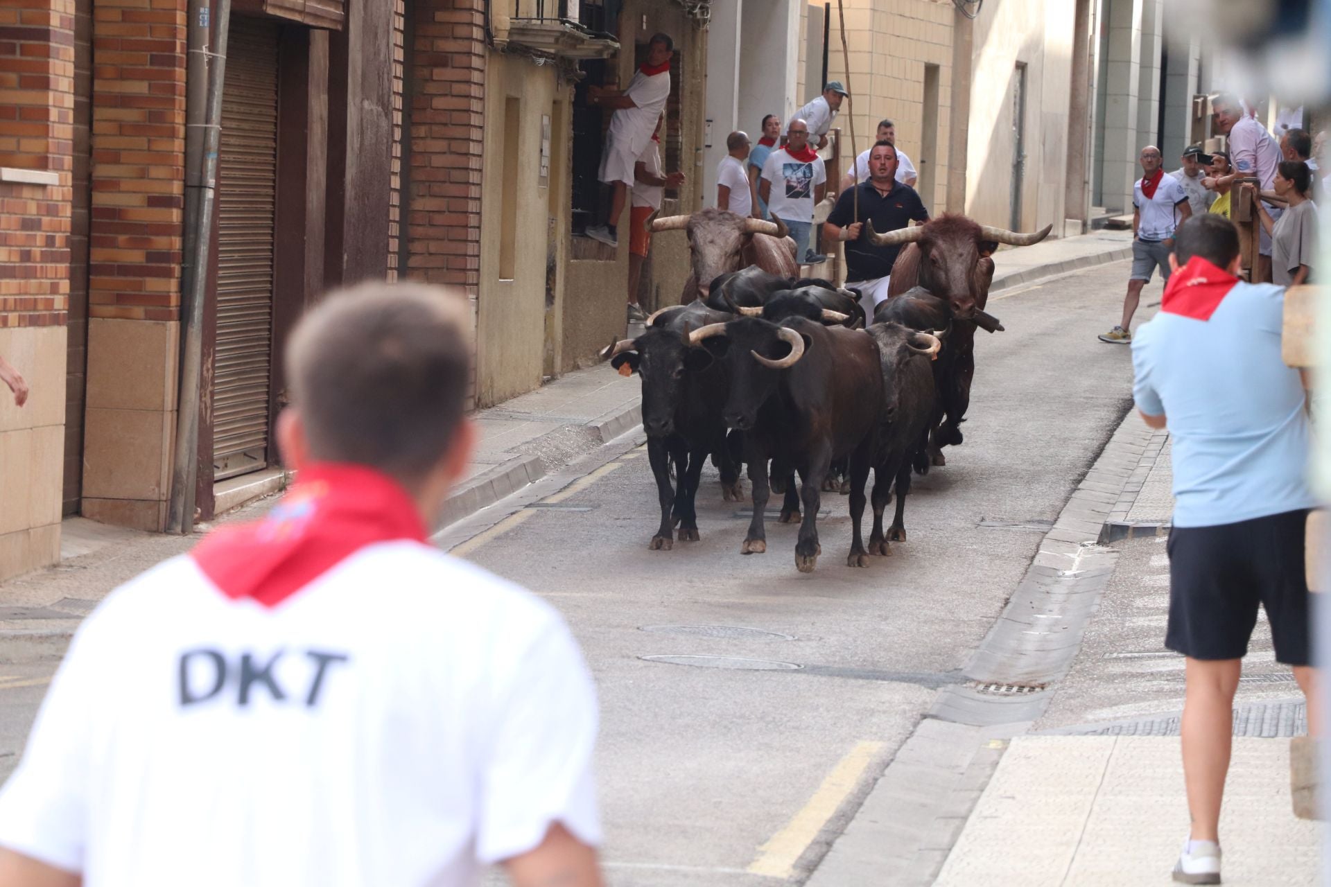 Un lunes de fiesta en Alfaro