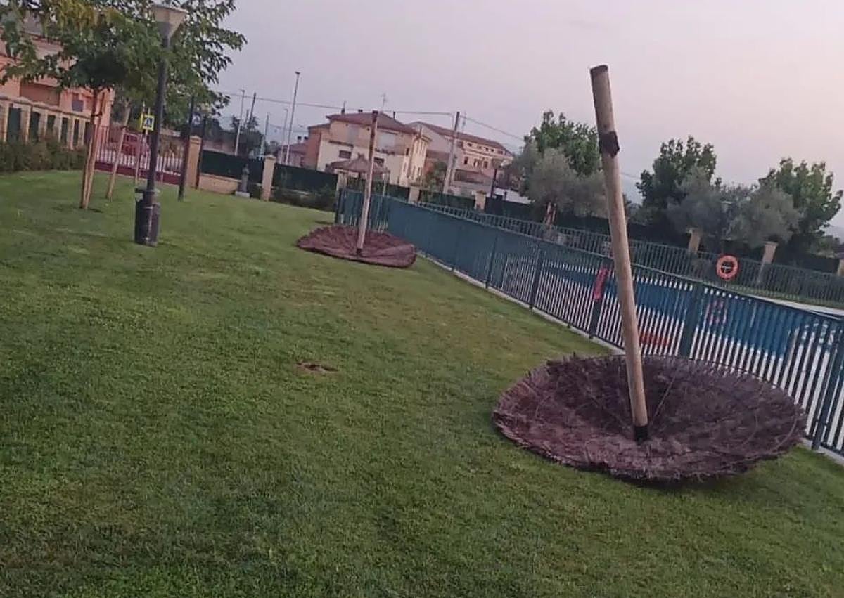 Imagen secundaria 1 - Actos vandálicos en Agoncillo.