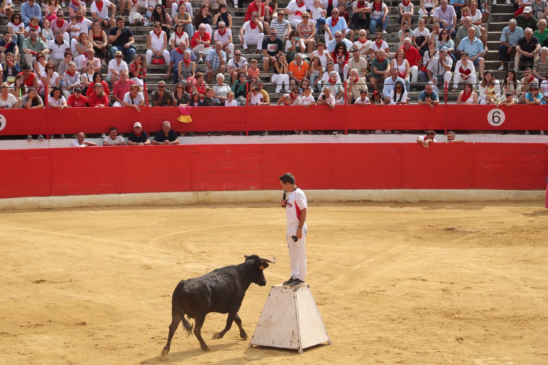 Comida popular y fiesta en el día joven en Alfaro