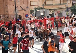 Las imágenes del último día de fiestas en Alfaro