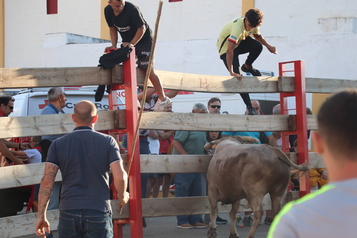 Las imágenes del último día de fiestas en Alfaro