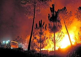 Ay, los ecologistas. La que han liado.