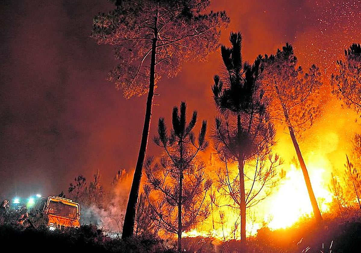 Ay, los ecologistas. La que han liado.