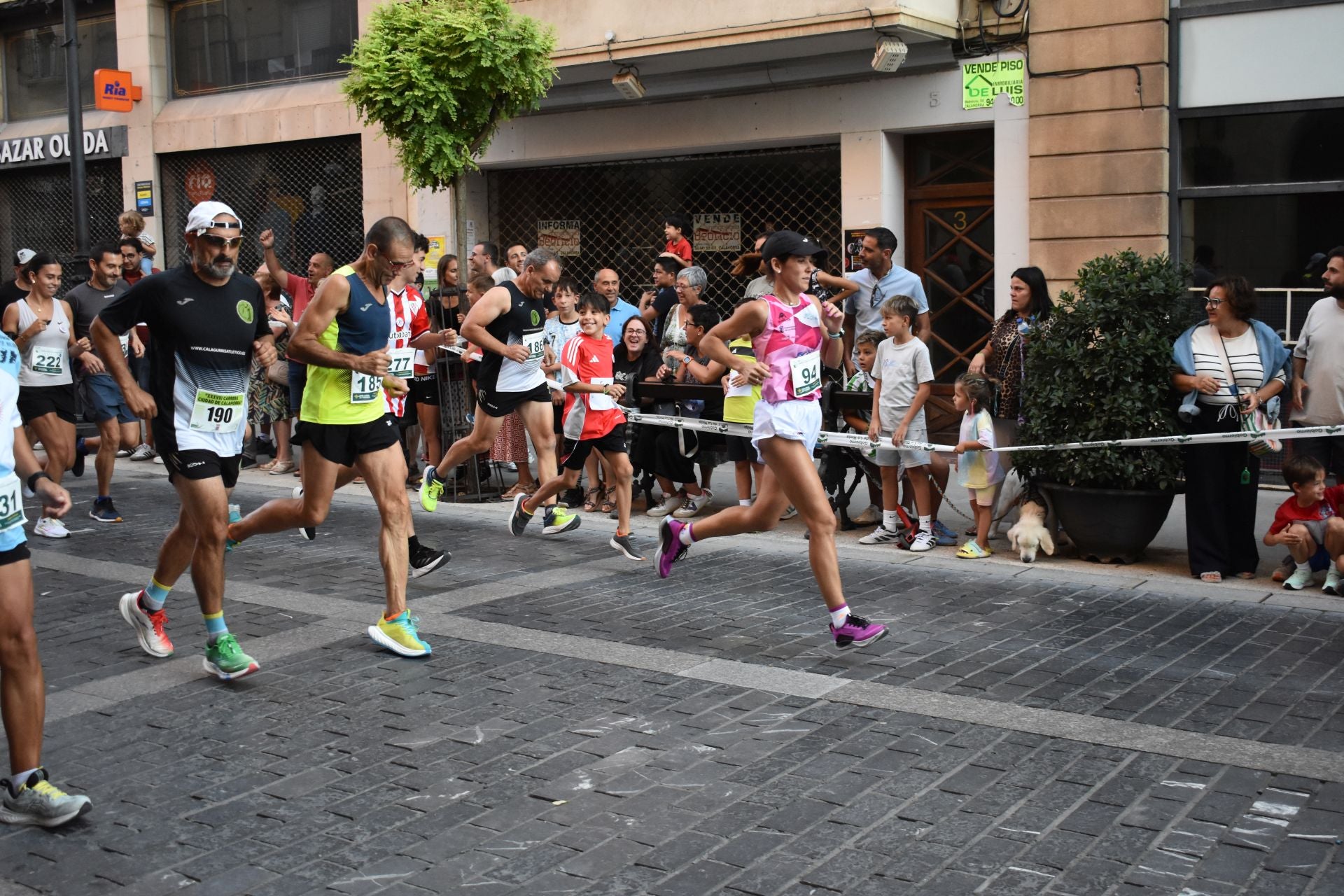 Las imágenes de la carrera Ciudad de Calahorra