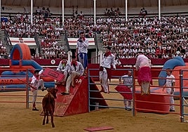 Primera prueba del concurso de Grand Prix en la plaza de toros.