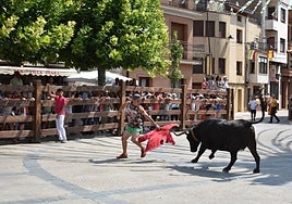 Las fiestas de Aldeanueva de Ebro, dedicadas hoy al Club Taurino, ofrecen vacas, magia, novillada y música