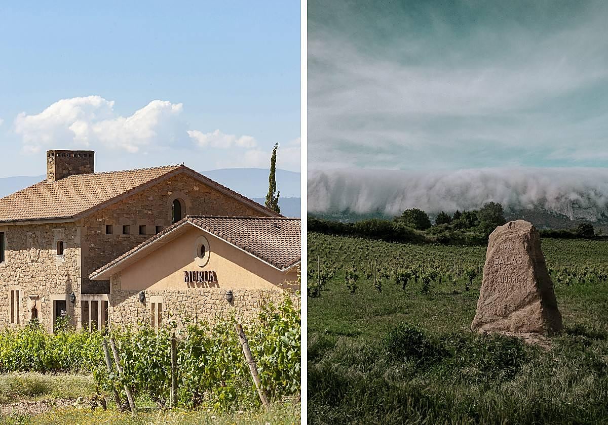 Bodegas Murua y Aiurri.
