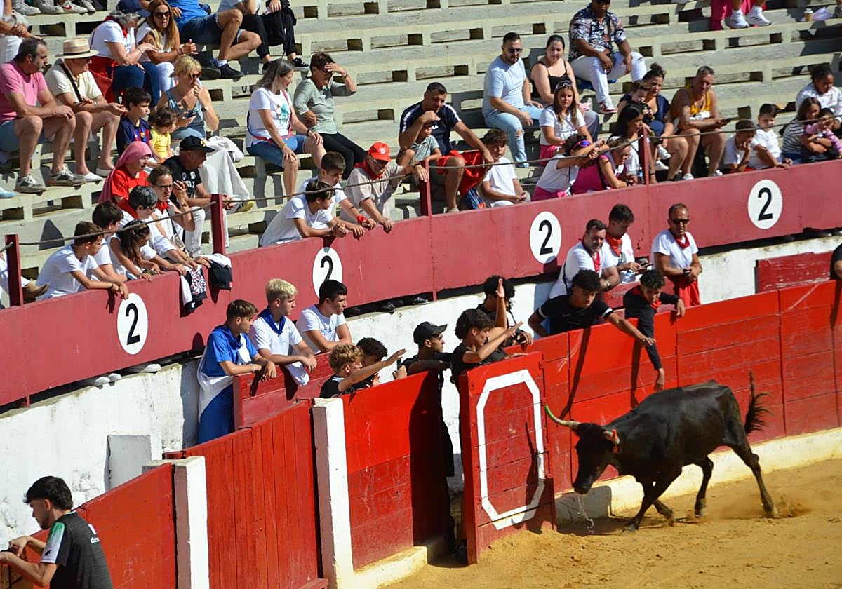 Las fiestas infantiles de Calahorra