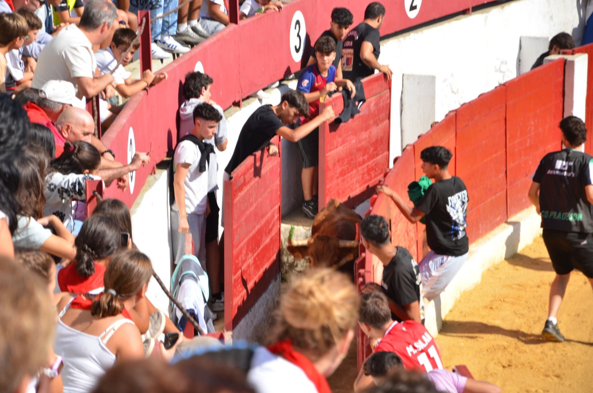 Las fiestas infantiles de Calahorra