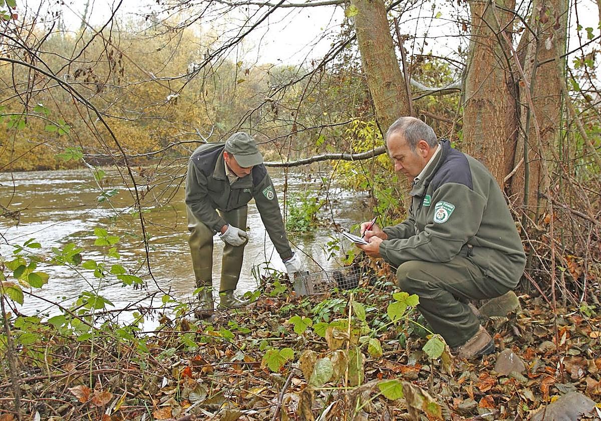 Agentes forestales riojanos en una imagen de archivo.