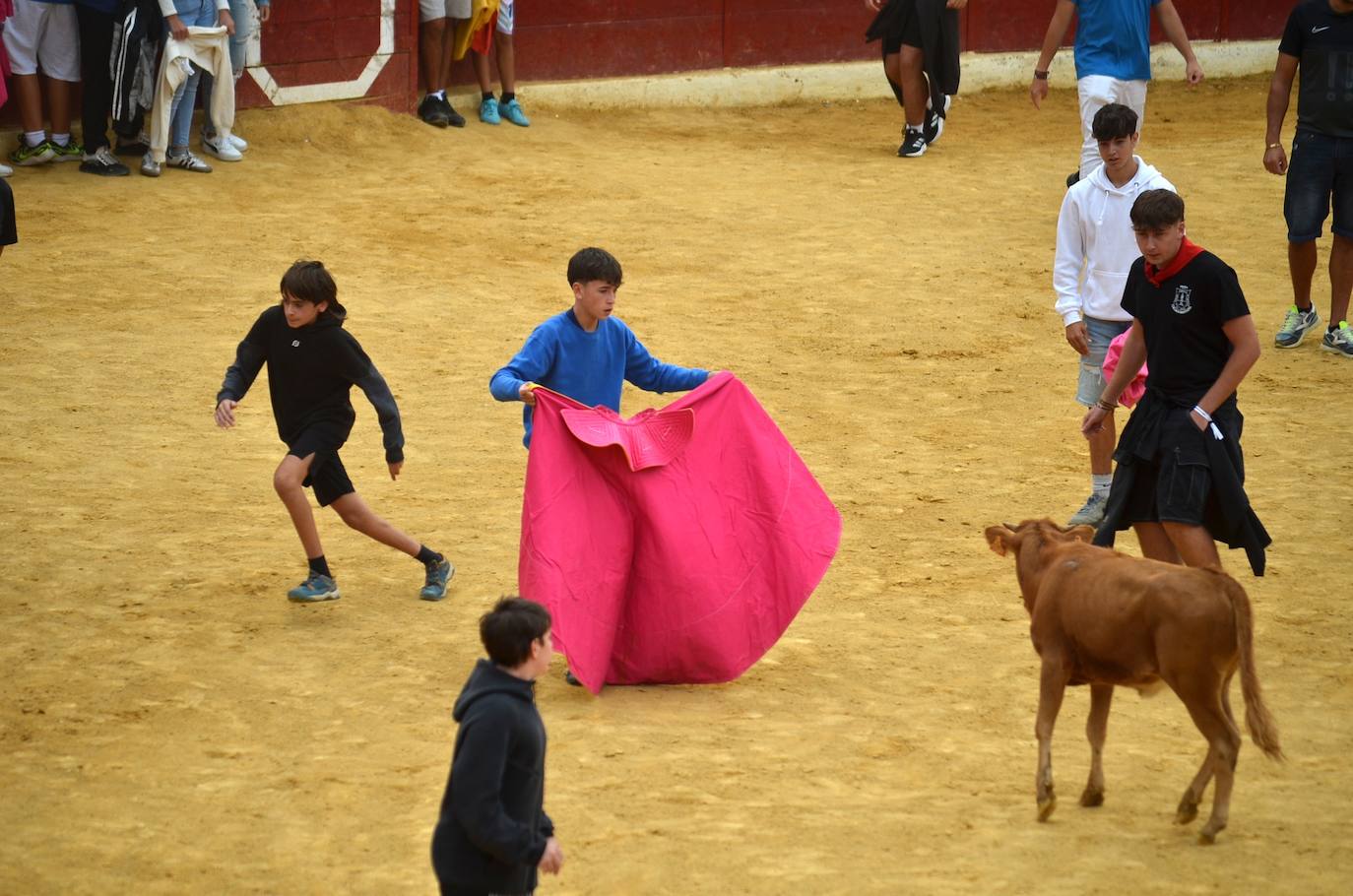 Las imágenes de las degustaciones, brindis y vacas en las fiestas de Calahorra