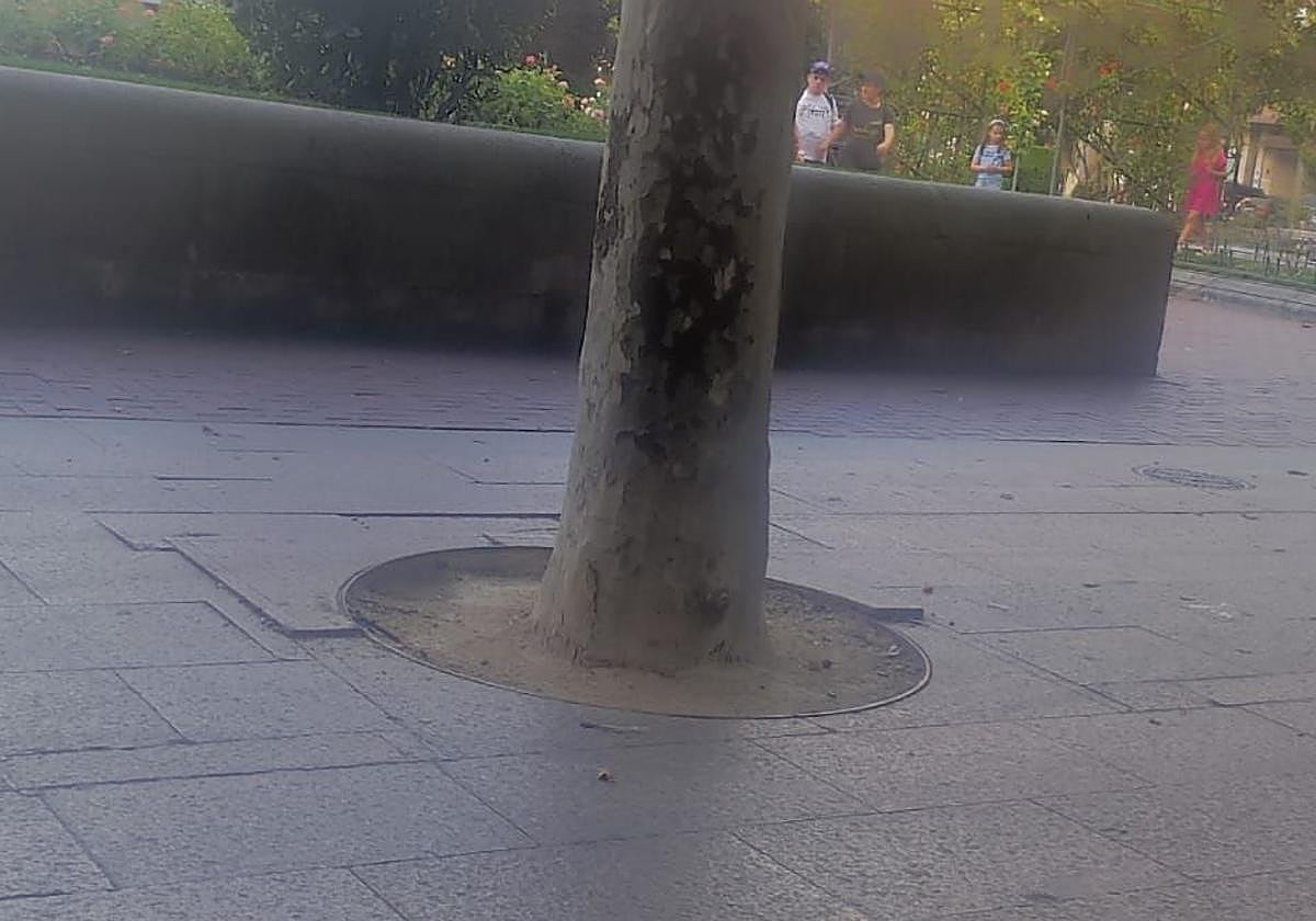 La limpieza del Casco Antiguo y las instalaciones de La Ribera en Logroño: el Teléfono del Lector de hoy