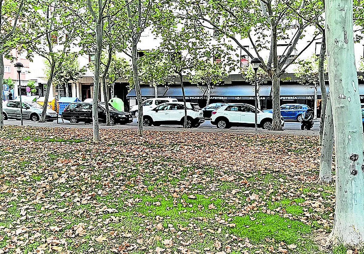 Olores, actos vandálicos, excrementos... hoy en el Teléfono del Lector