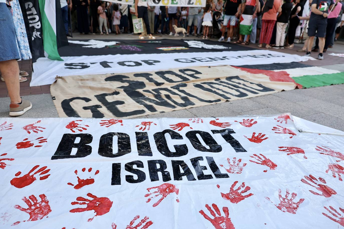 Las imágenes de la movilización logroñesa contra el «genocidio palestino»