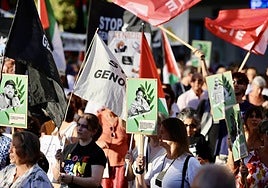 Las imágenes de la movilización logroñesa contra el «genocidio palestino»