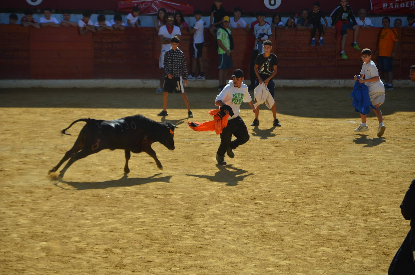 Las imágenes de las fiestas de Calahorra de este sábado
