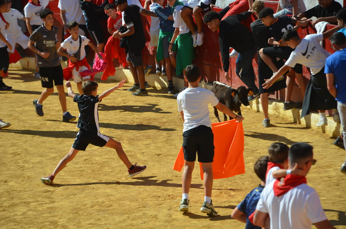 Las imágenes de las fiestas de Calahorra de este sábado