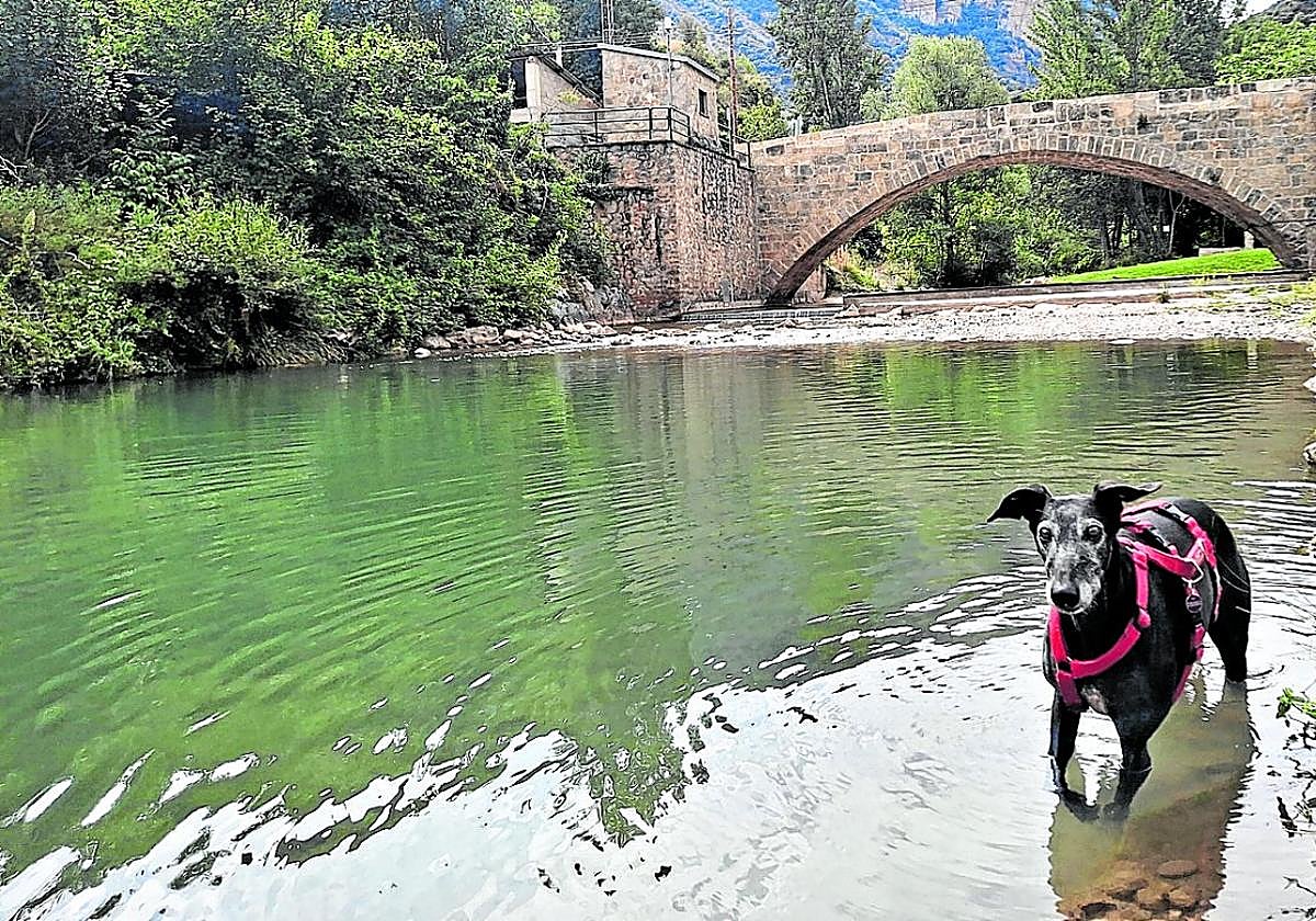 Espejo de agua acondicionado en Leza de Río Leza, con el puente de San Martín al fondo, donde se puede acudir con perro.