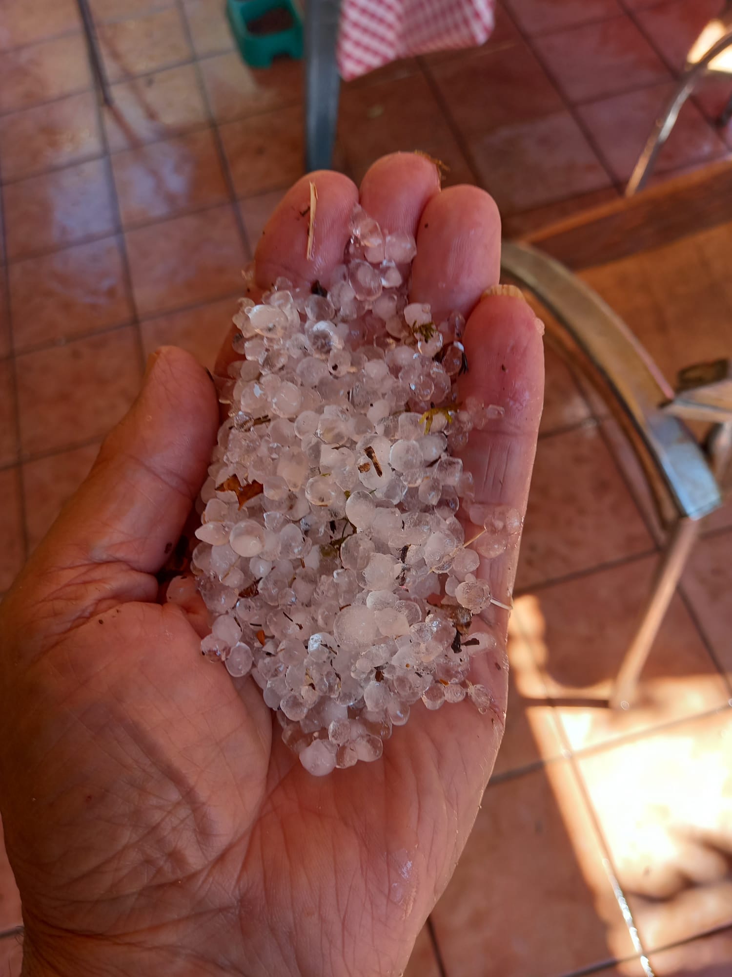 Intensa granizada en varias localidades riojanas