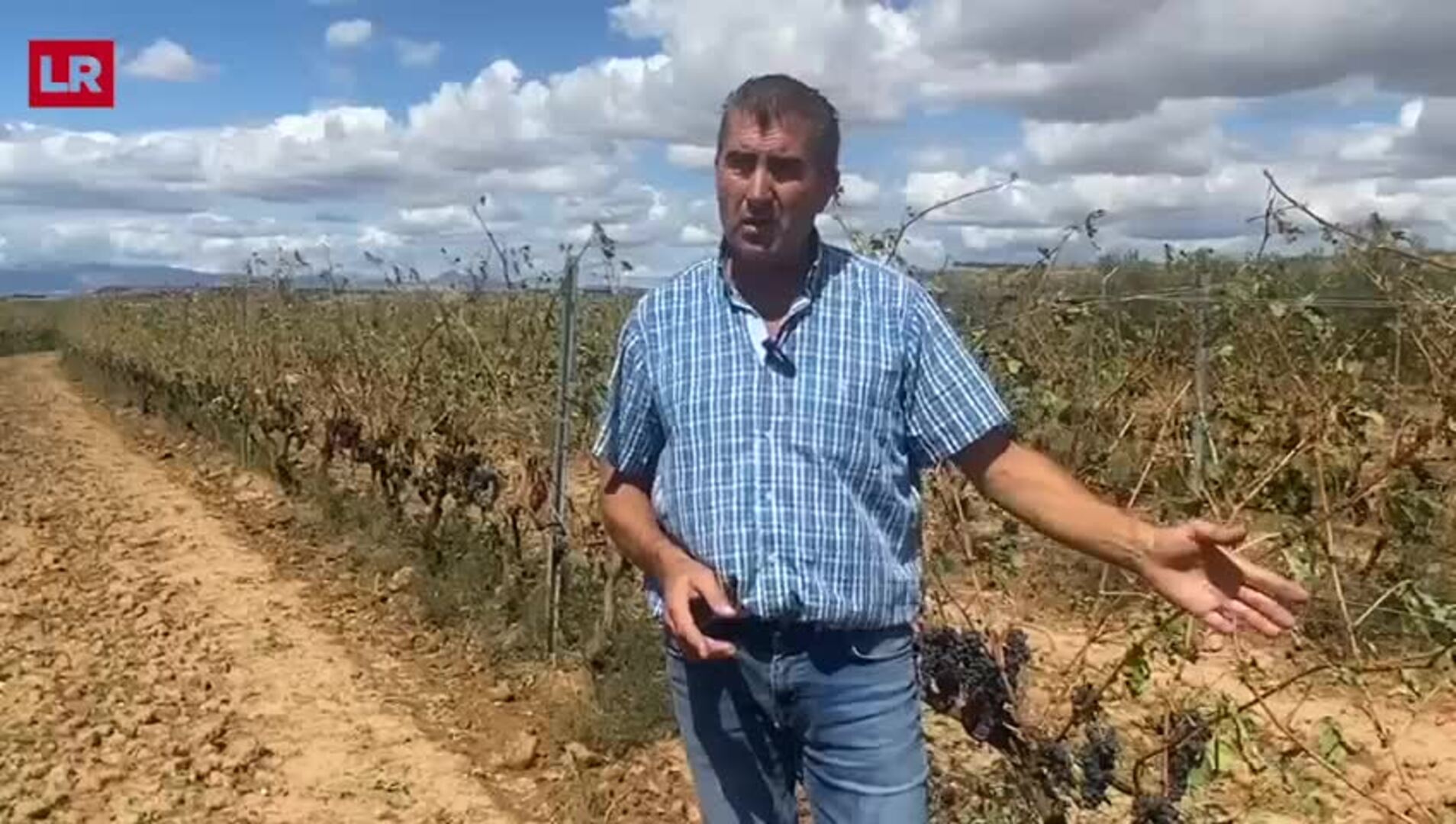 Una tormenta fatal para los viticultores riojanos