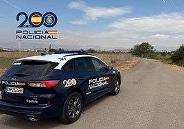 Dos detenidos en Logroño por abandonar en una cuneta a una perra que al final murió